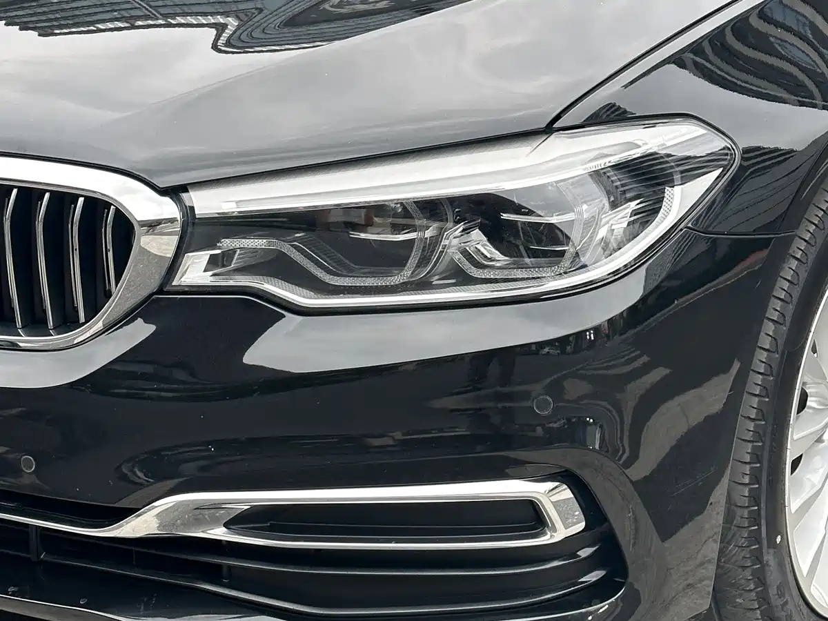 BMW 5 Series 2020 530Li Leading Luxury Package фото 21