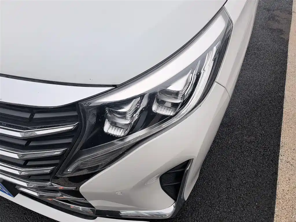 GAC Trumpchi Trumpchi M8 2023 Leading Series 390T Prestige Edition фото 18