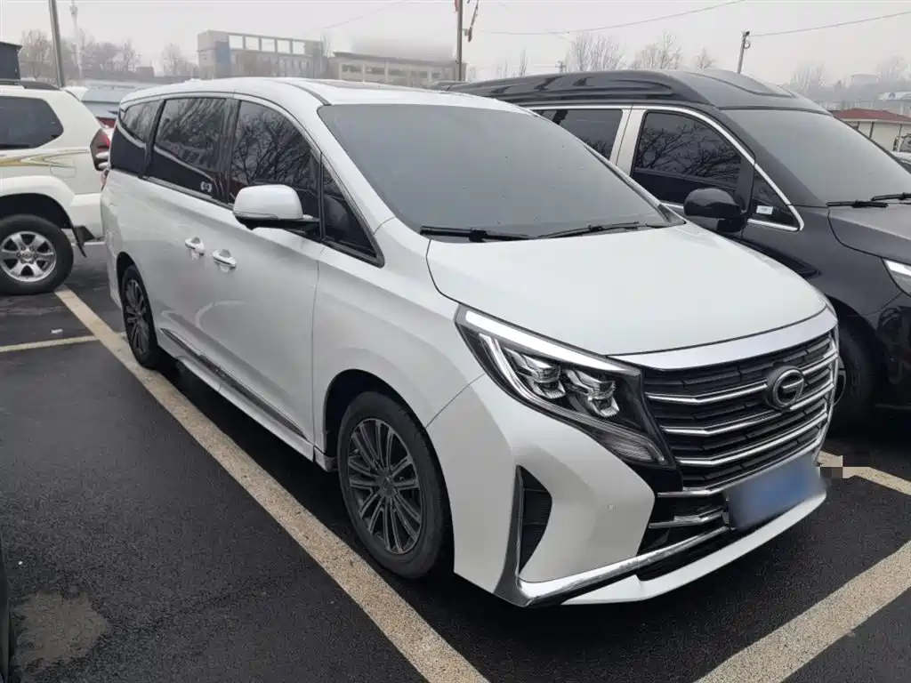 GAC Trumpchi Trumpchi M8 2023 Leading Series 390T Prestige Edition фото 22