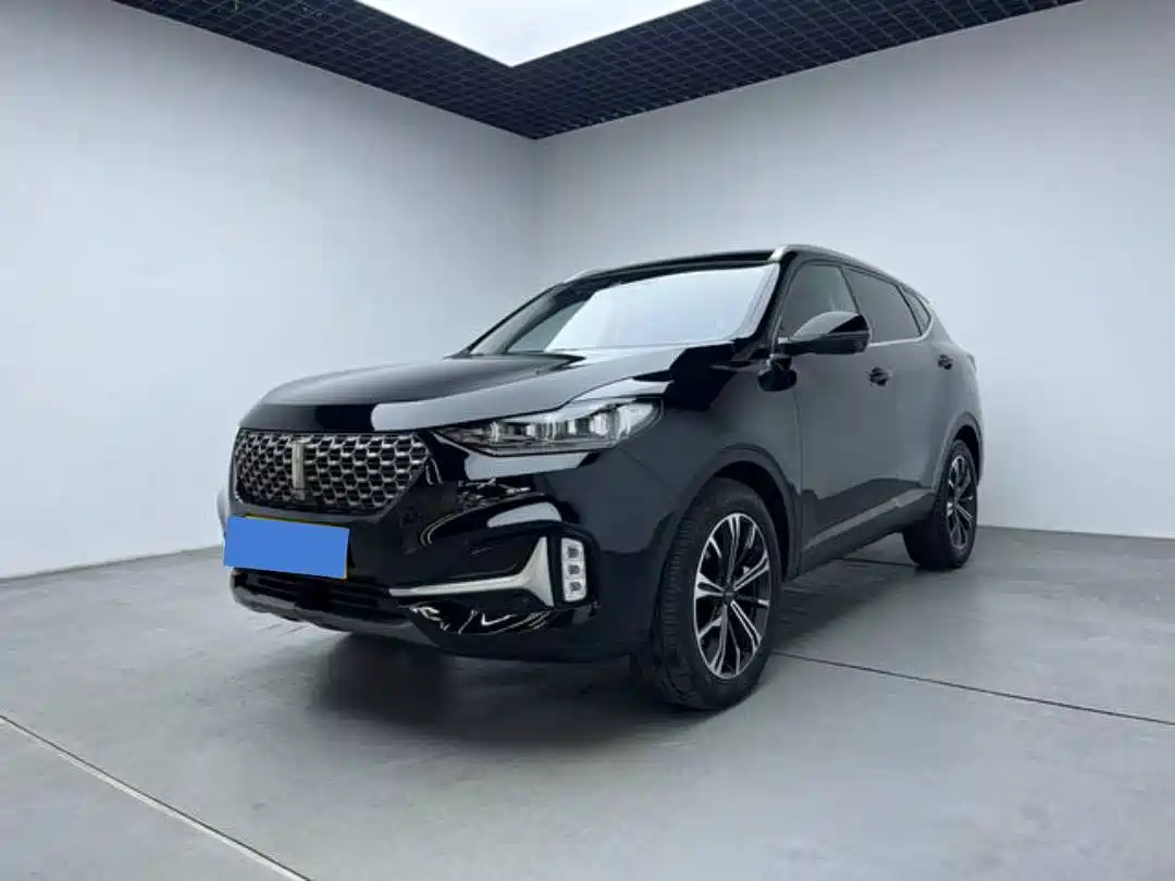 WEI PAI WEI BRAND VV6