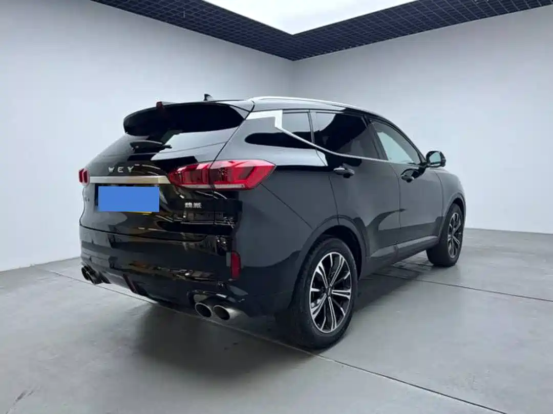 WEI PAI WEI BRAND VV6