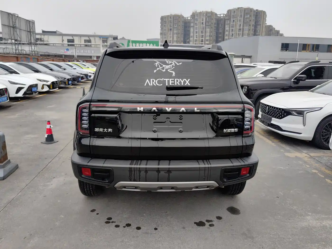 Haval Big Dog 2024 1.5T DCT Border Collie Edition фото 12