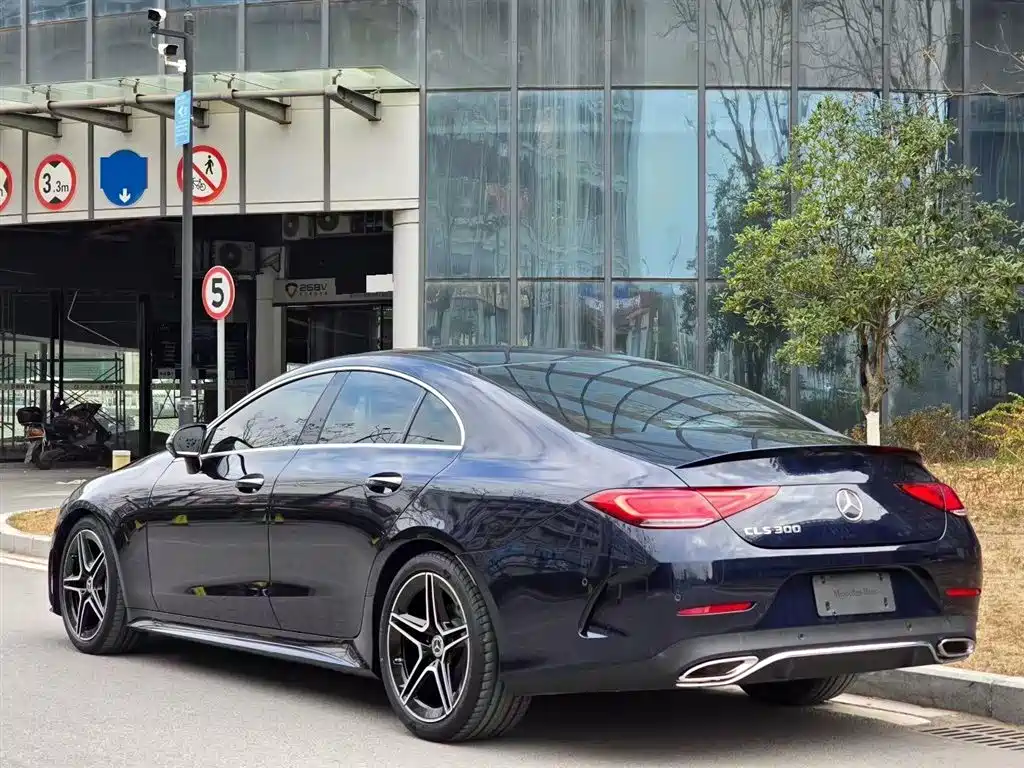 Mercedes-Benz CLS 2021 CLS 300 Luxury фото 3