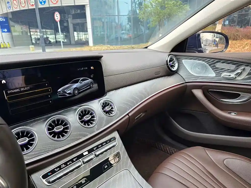 Mercedes-Benz CLS 2021 CLS 300 Luxury фото 7
