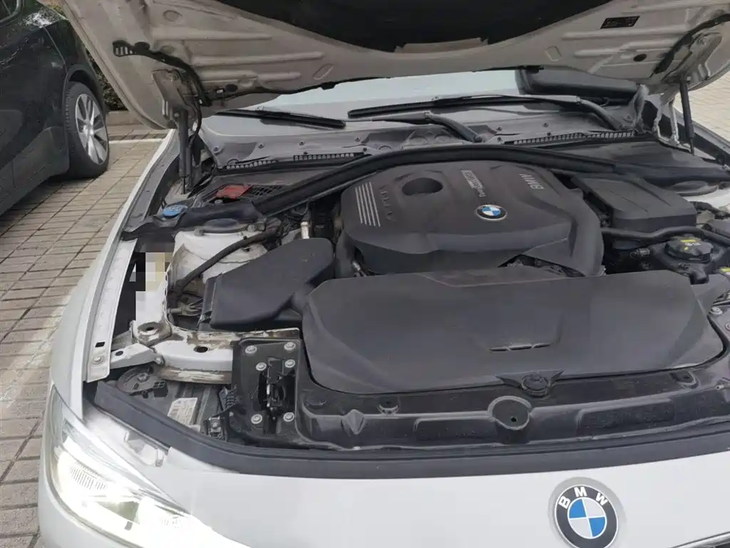 BMW 3 Series 2018 320Li Fashion Style фото 20