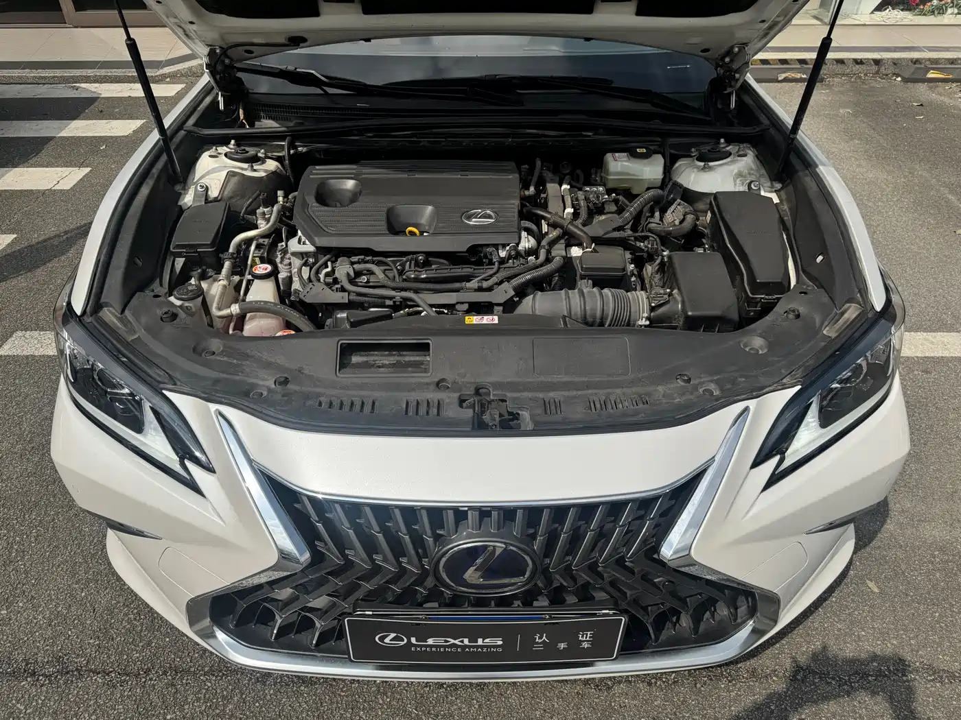 Lexus ES 2021 300h Excellence Edition фото 6