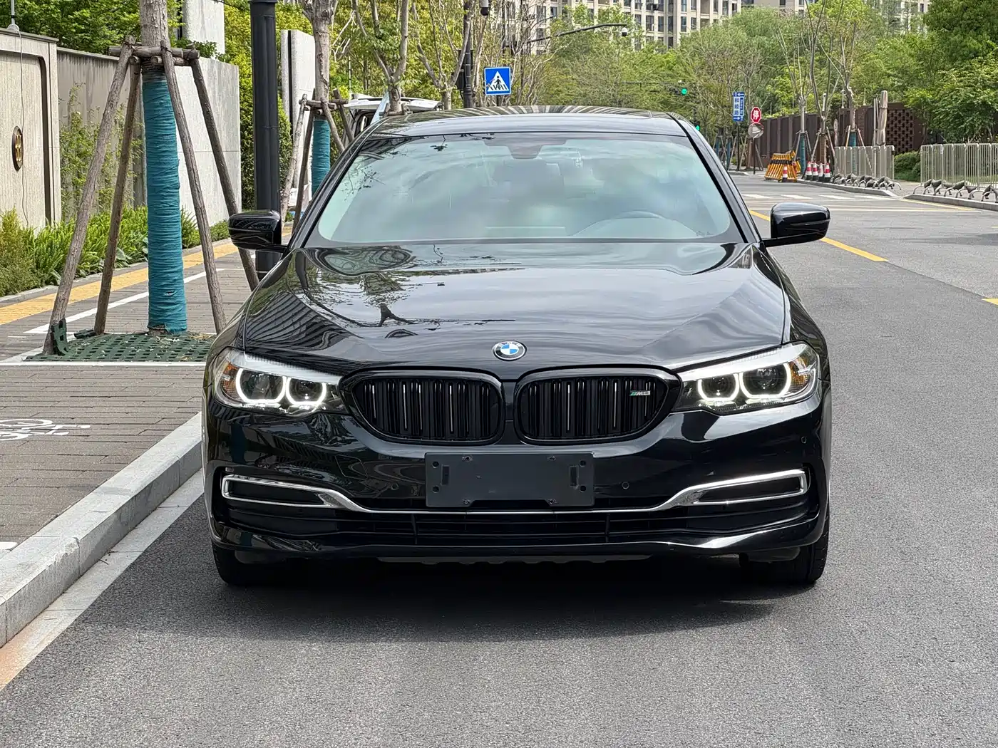BMW 5 Series 2020 525Li Luxury Package фото 2