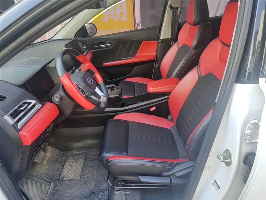 BYD e2 2020 Upgraded Long Range Luxury фото 15