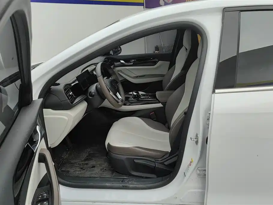 BYD Qin PLUS 2023 Champion Edition DM-i 55KM Leading фото 9