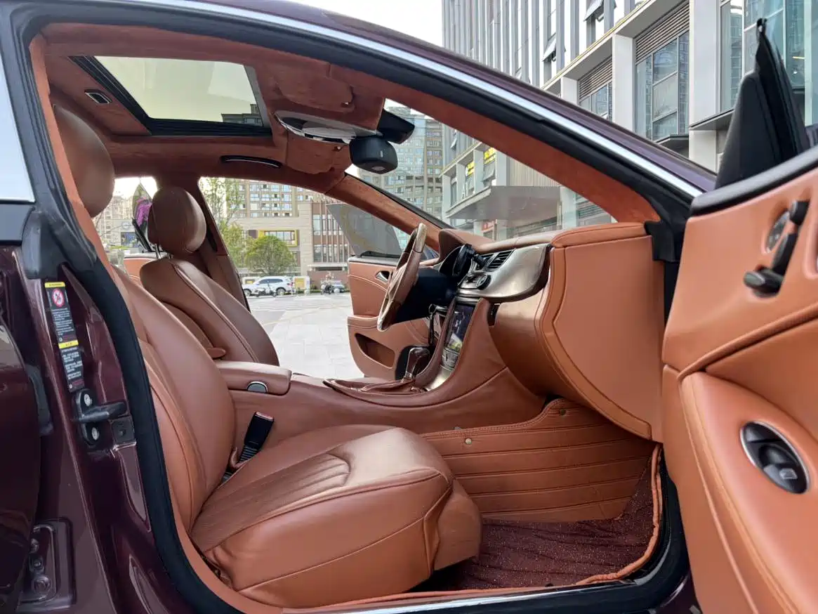 Mercedes-Benz CLS 2009 CLS 300 фото 12