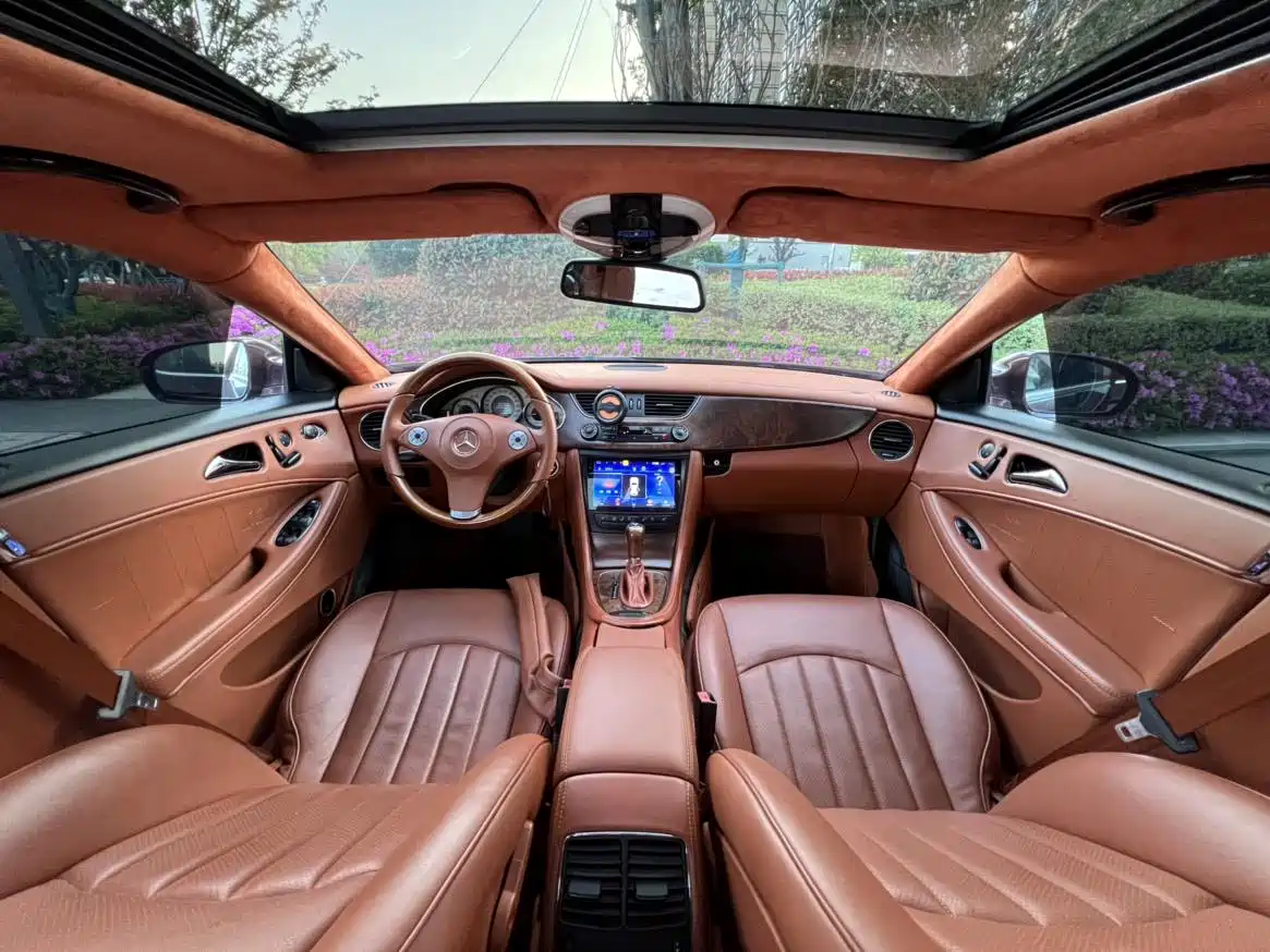 Mercedes-Benz CLS 2009 CLS 300 фото 7
