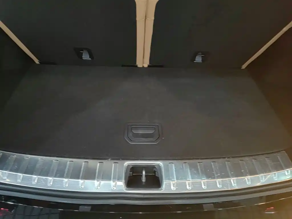 Lynk & Co 09 EM-P 2024 2.0TD EM-P AWD ULTRA 6-Seater фото 19