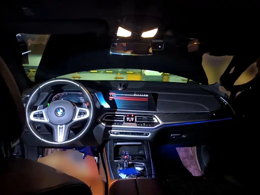 Photo 10 - BMW X7
