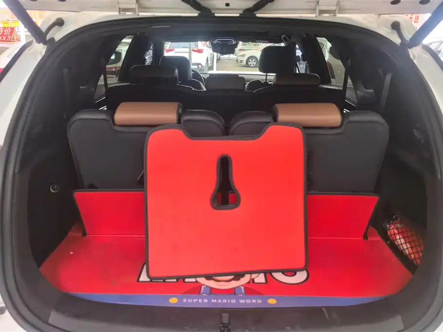BYD Tang New Energy 2021 DM-i 112KM Premium фото 4