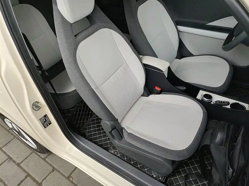 Geely Galaxy Panda 2025 Panda mini 210km Vitality Bear фото 25