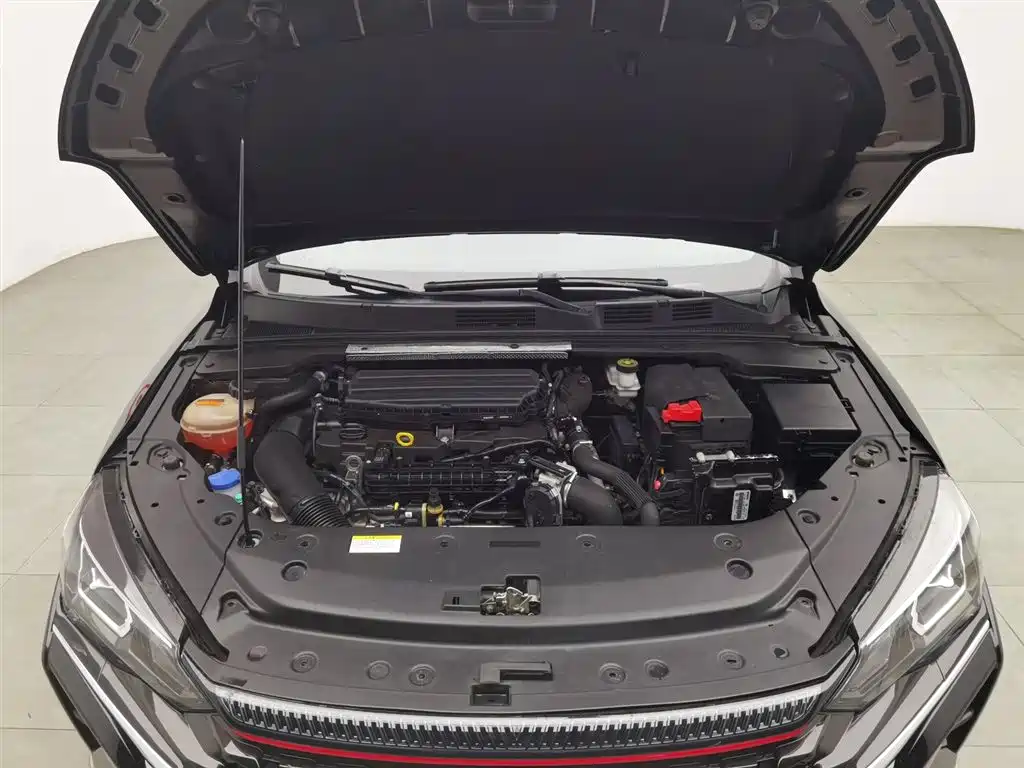 DONGFENG YI HYUN MAX