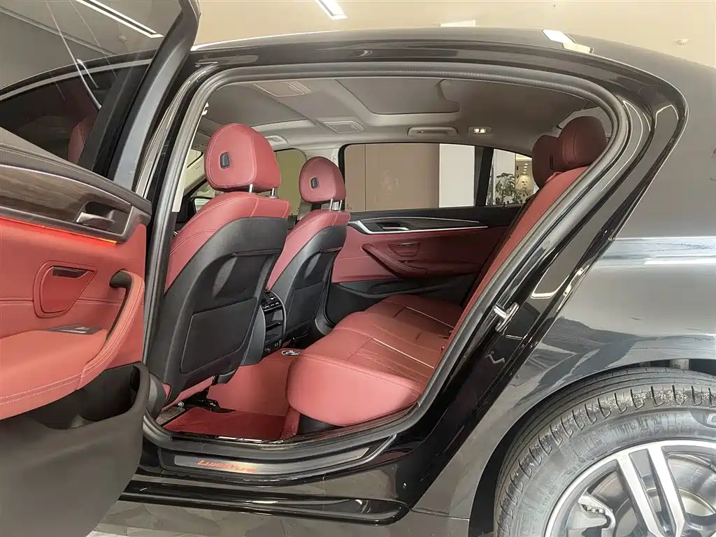 BMW 5 Series 2021 530Li xDrive Luxury Package фото 18