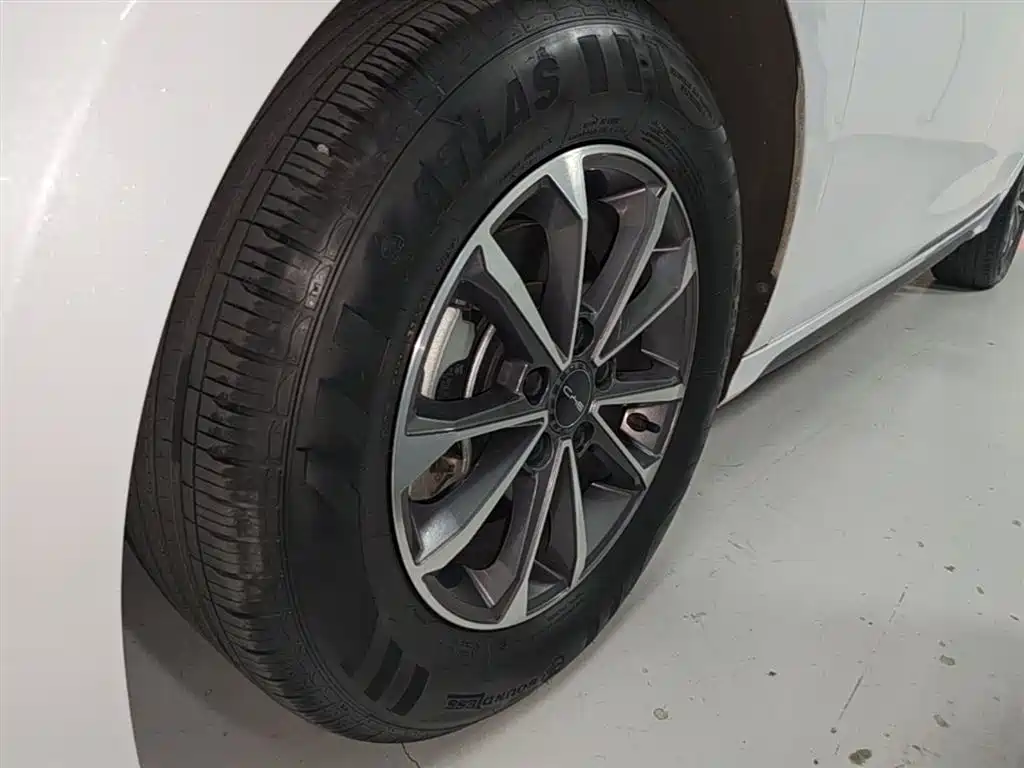 BYD Destroyer 05 2024 Glory Edition DM-i 55KM Luxury фото 23