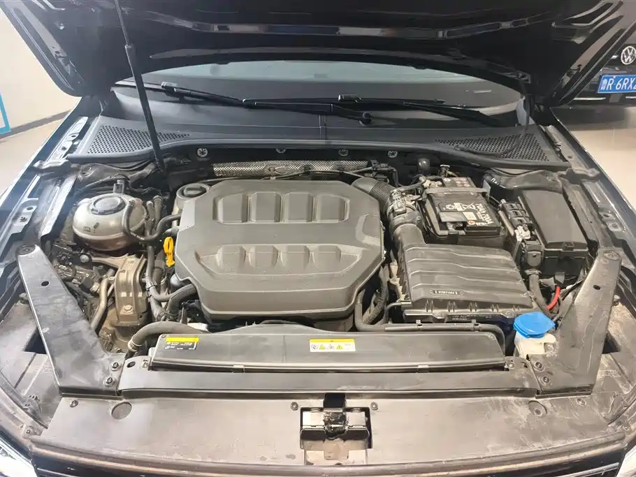 Volkswagen Magotan 2024 2 Million Units Public Sharing Edition 330TSI DSG Luxury фото 10