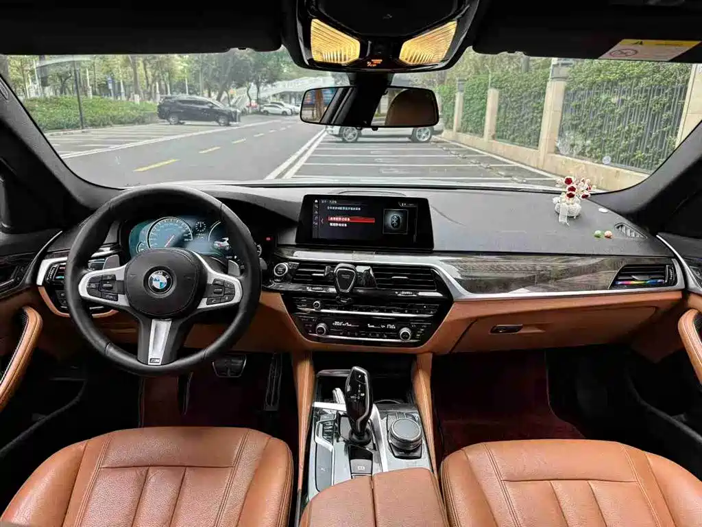 BMW 5 Series 2018 530Li Leading M Sport Package фото 7