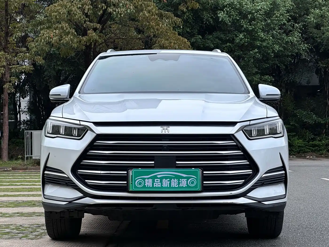 BYD Song Pro New Energy 2022 DM-i 110km Flagship фото 2