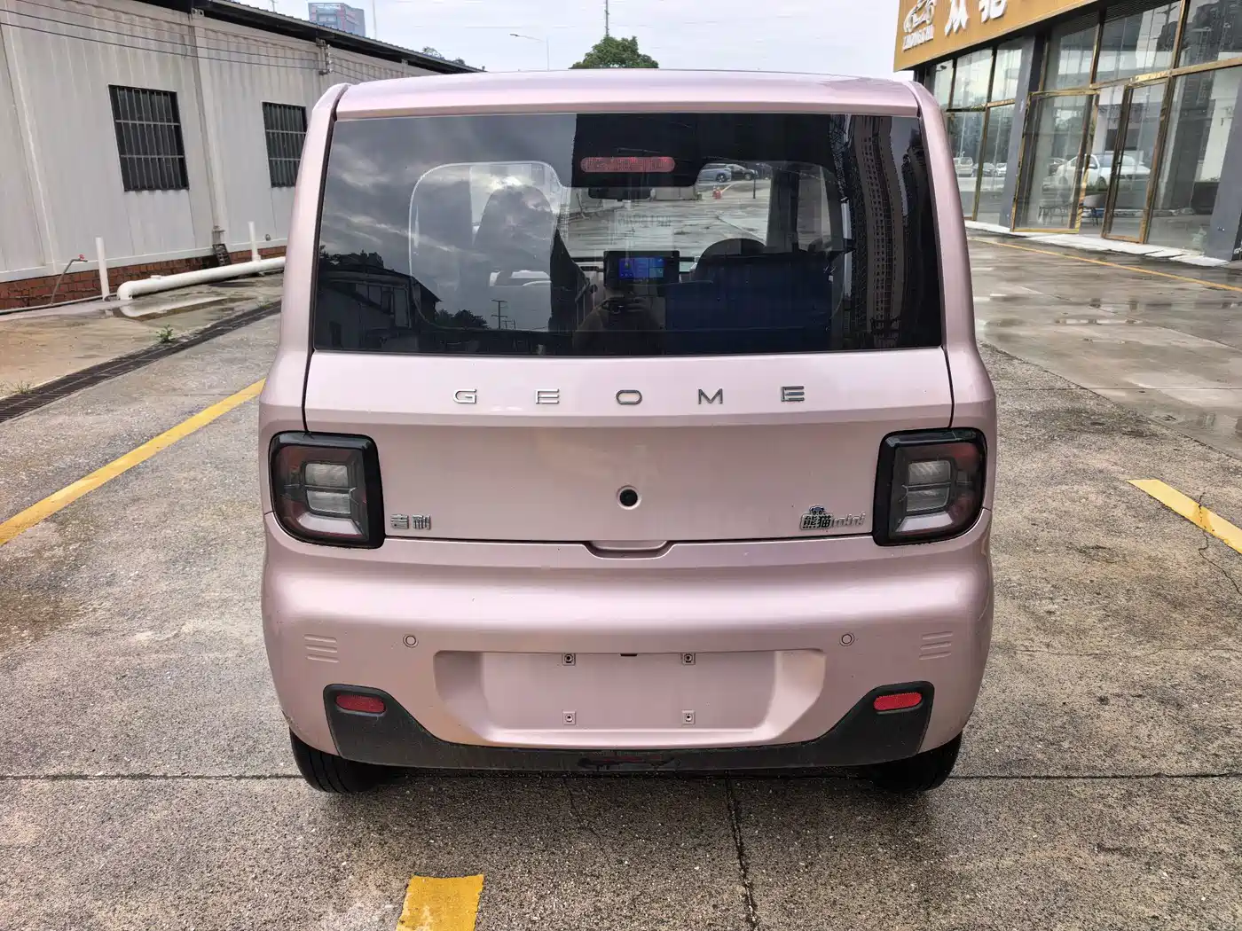 Фото 5 - Geely Galaxy Panda
