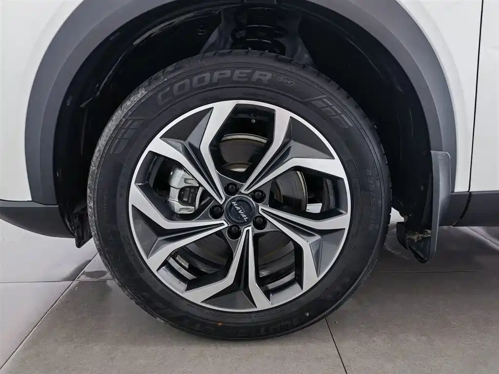 HAVAL DIVINE BEAST