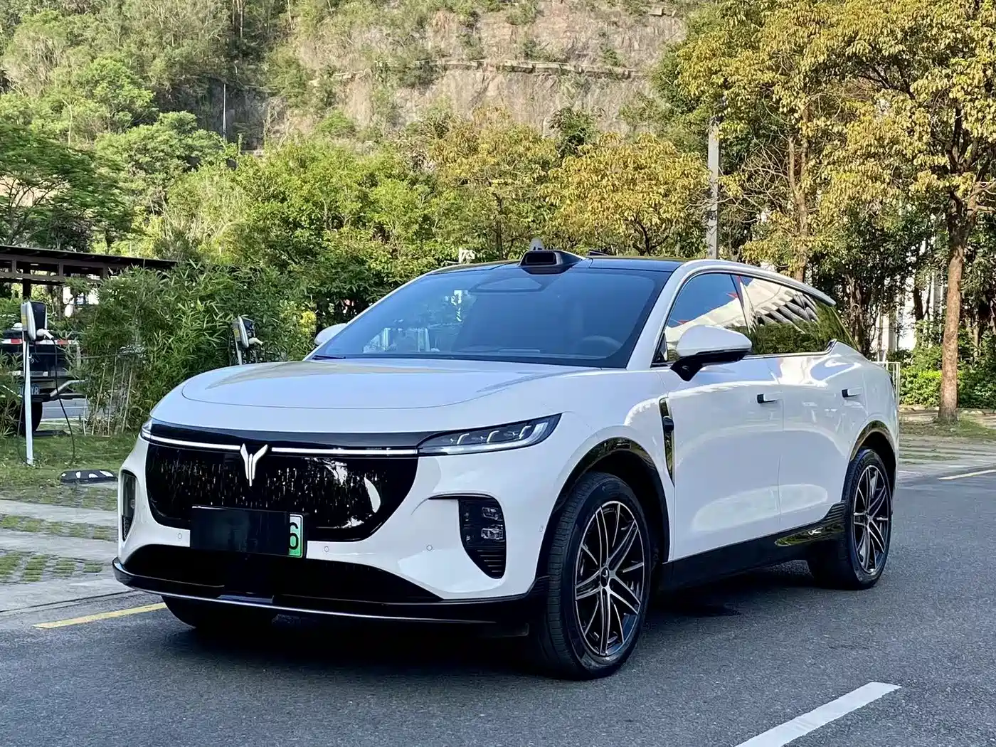 Voyah Auto Voyah Zhiyin 2025 Base