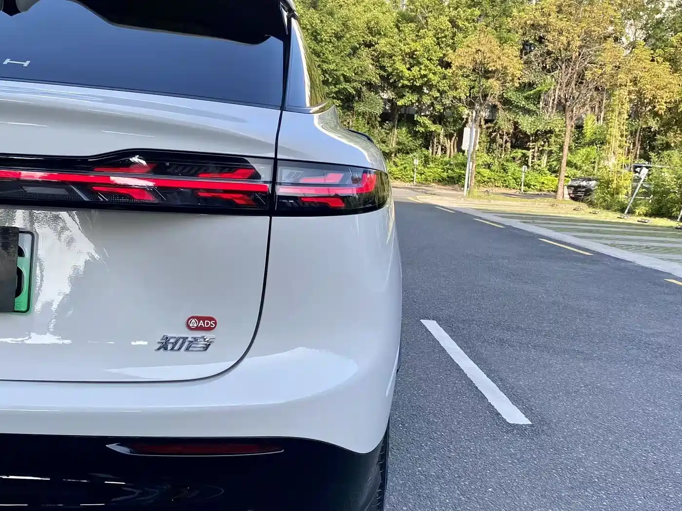 Voyah Auto Voyah Zhiyin 2025 Base фото 14