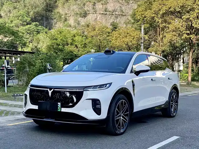  Voyah Auto Voyah Zhiyin 2025 Base