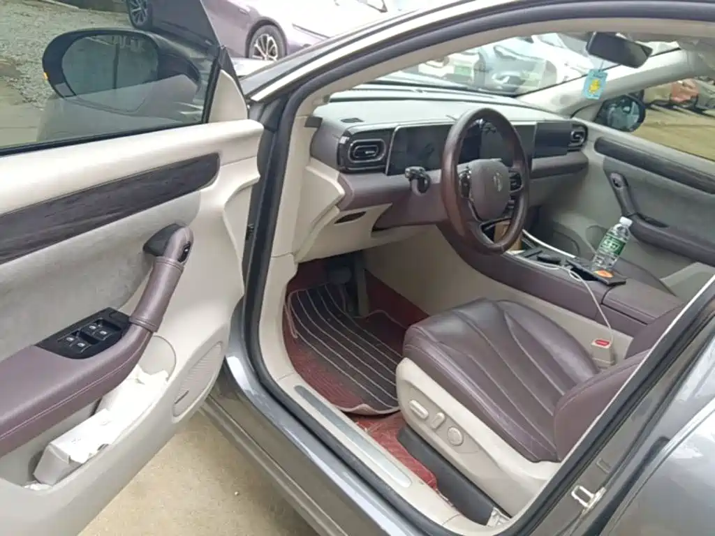Leapmotor C11 2022 2021 Model Premium Edition