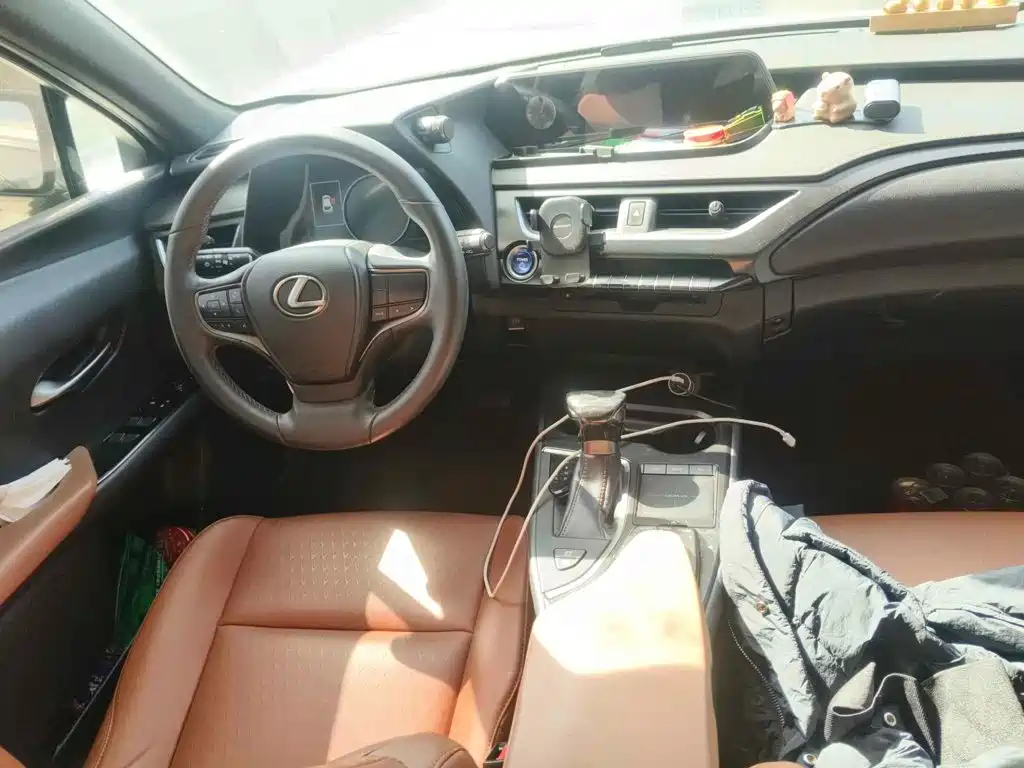 Фото 10 - Lexus UX