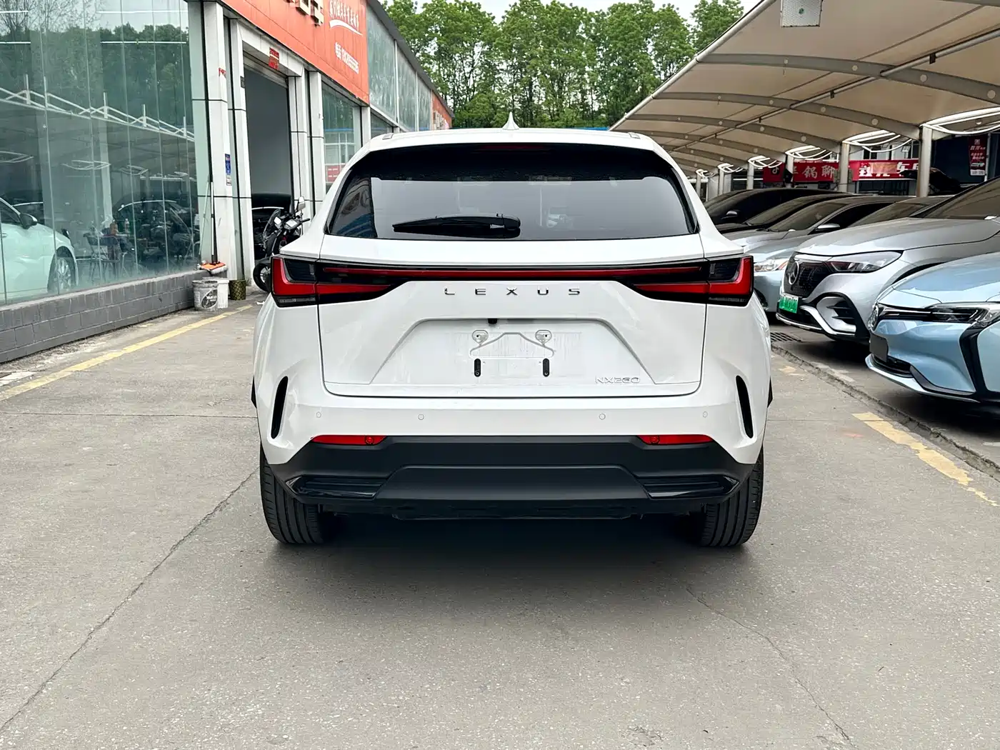 LEXUS NX