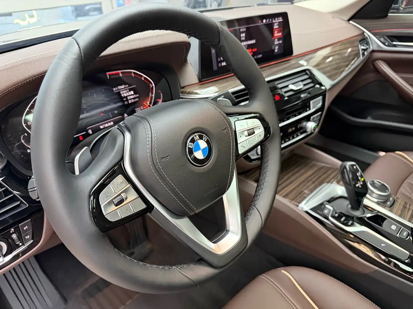 BMW 5 Series 2020 530Li xDrive Luxury Package фото 19