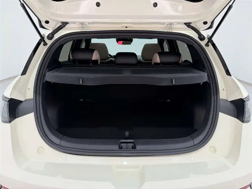 BYD Dolphin 2025 Smart Drive Edition 410km Fashion Version фото 14