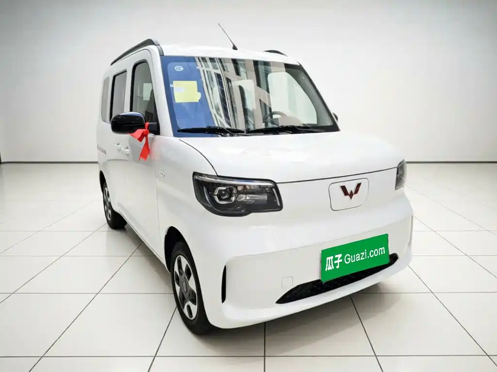 Wuling Motors Wuling Zhiguang NEV 2026 2025 Model 305km Base Version