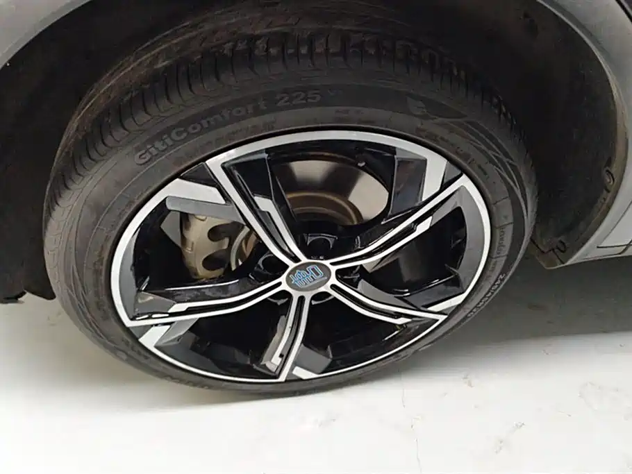 BYD Tang New Energy 2021 DM-i 112KM Honor фото 6
