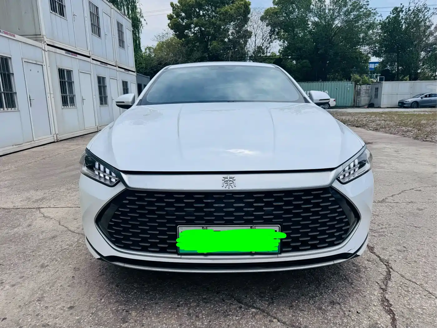 BYD Qin PLUS 2024 Glory Edition DM-i 55KM Leading фото 2