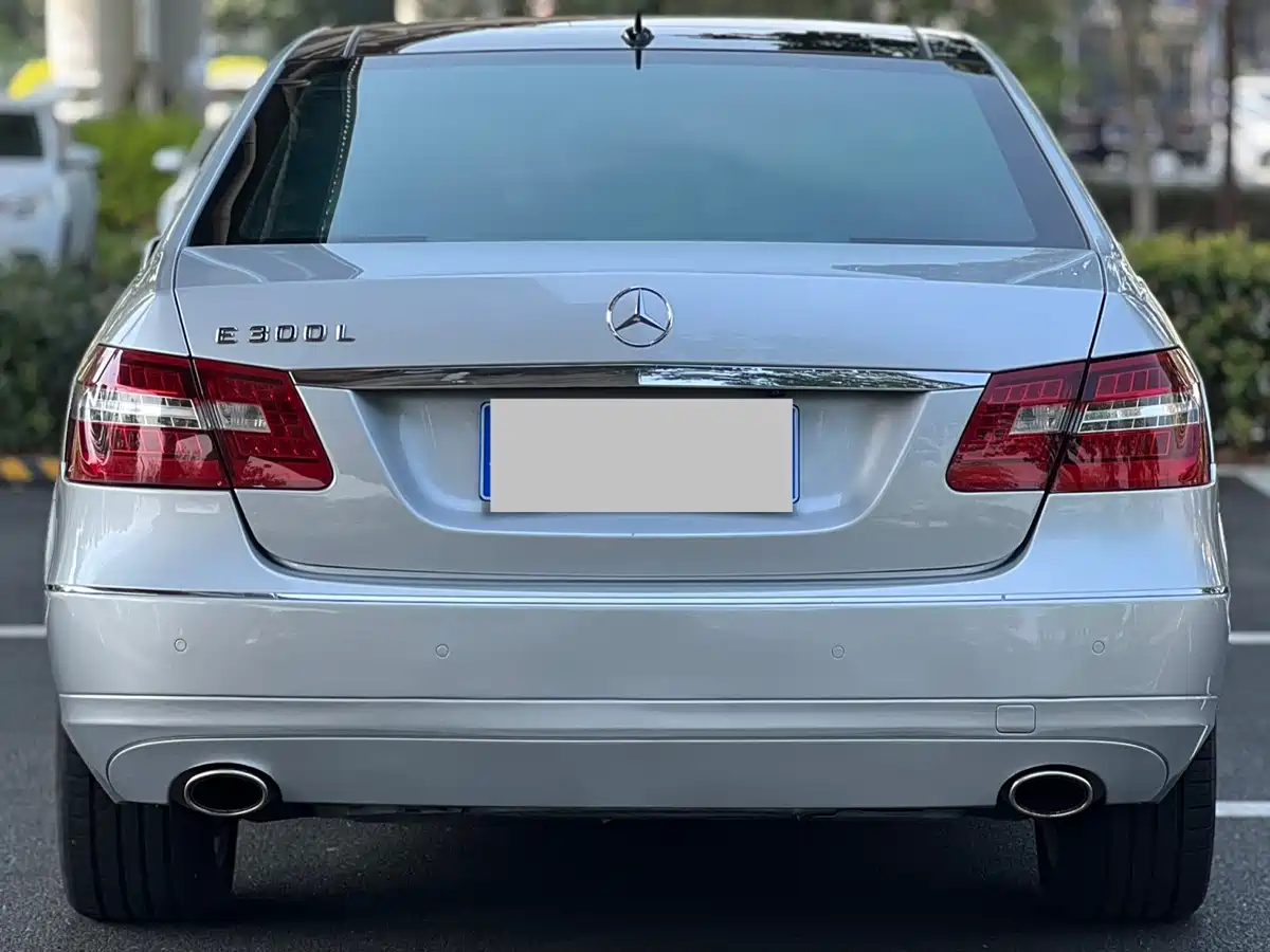 Mercedes-Benz E-Class 2010 E 300 L Fashion фото 5