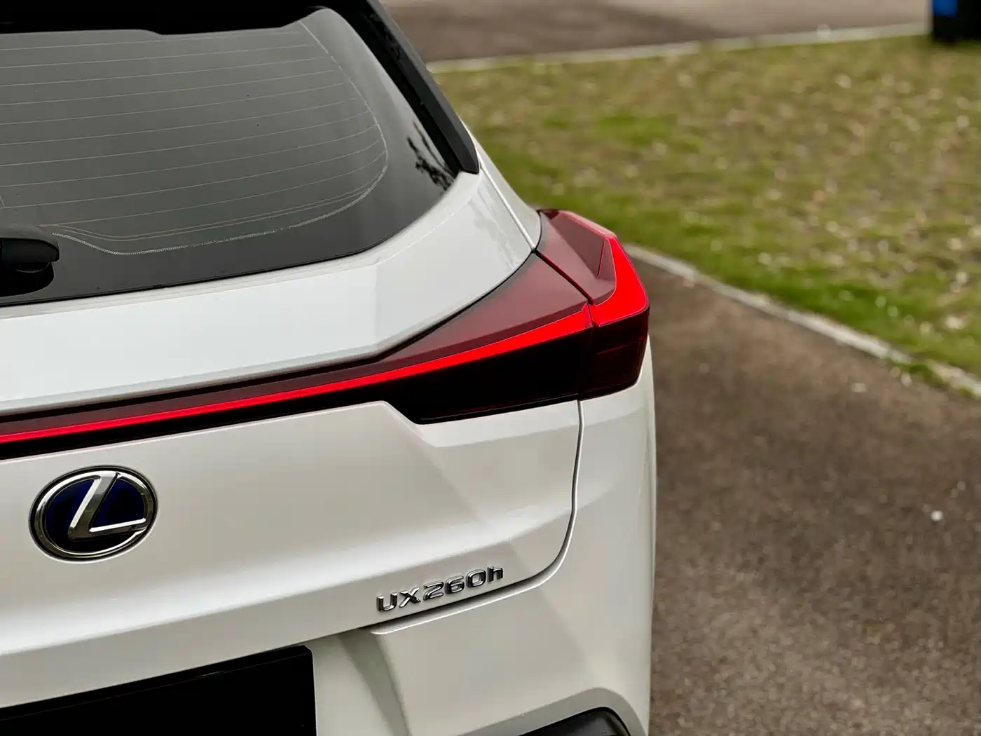 Lexus UX 2019 260h Explorer Cool Edition (China V) фото 15