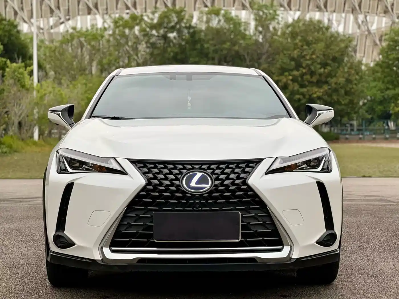 Lexus UX 2019 260h Explorer Cool Edition (China V) фото 2