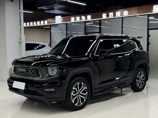 Haval Dargo PLUS 1.5T, моноприводный, Trend Wild, Plus