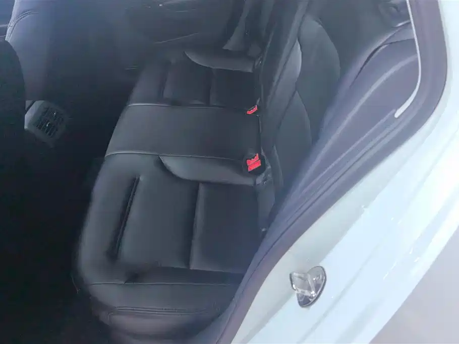 Volkswagen Golf (Import) 2019 1.8TSI Wagon фото 11
