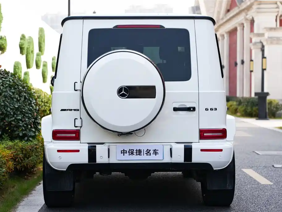 Mercedes-Benz G-Class 2019 G 500 фото 29