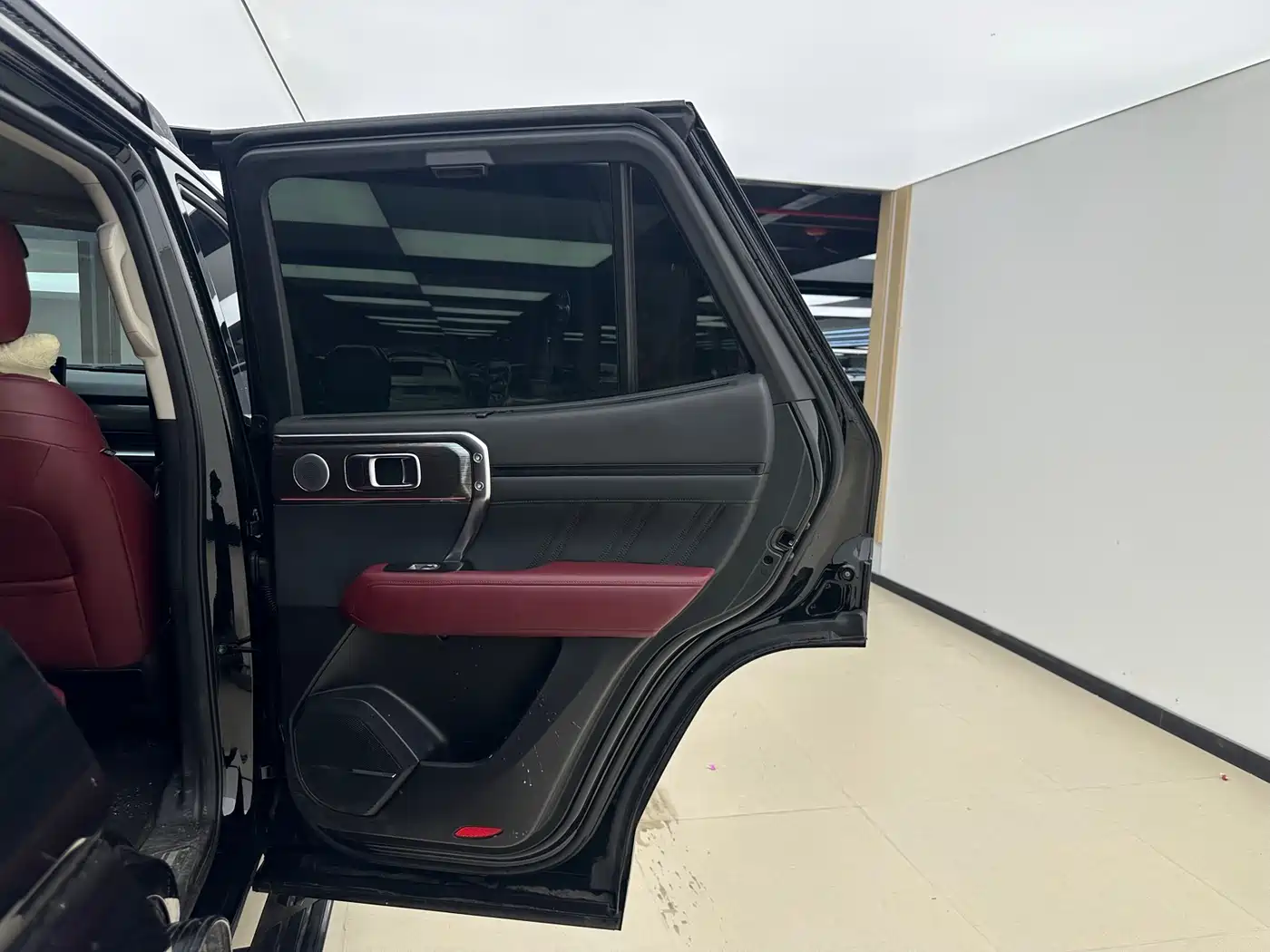 Tank 400 New Energy 2024 Hi4-T Off-Road Edition фото 20