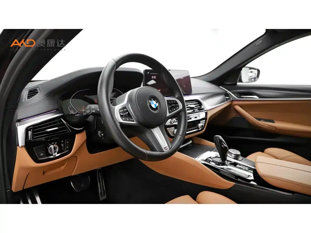 BMW 5 Series (Import) 2022 525i M Sport Package фото 6