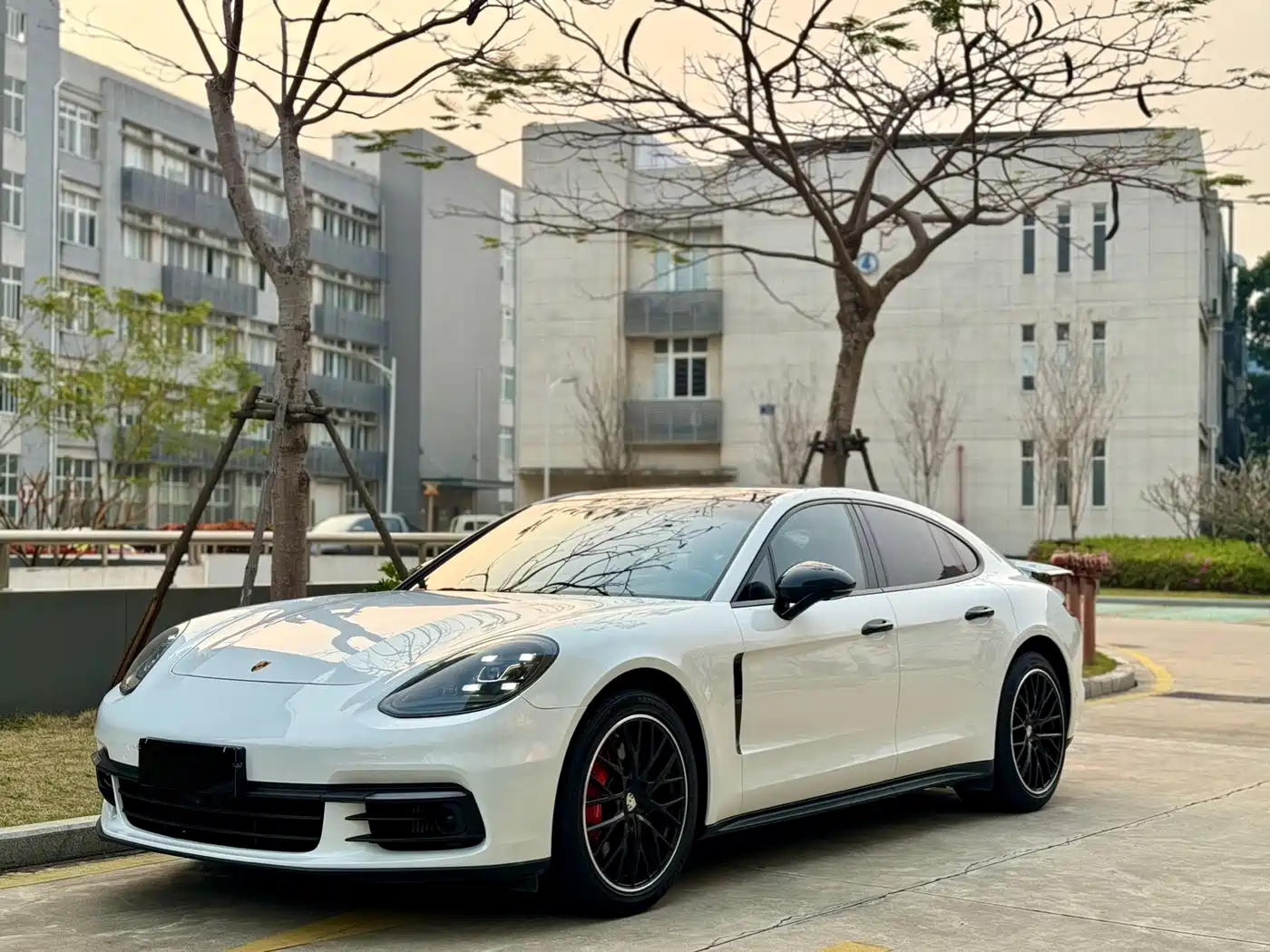 Porsche Panamera 2019 Panamera 2.9T
