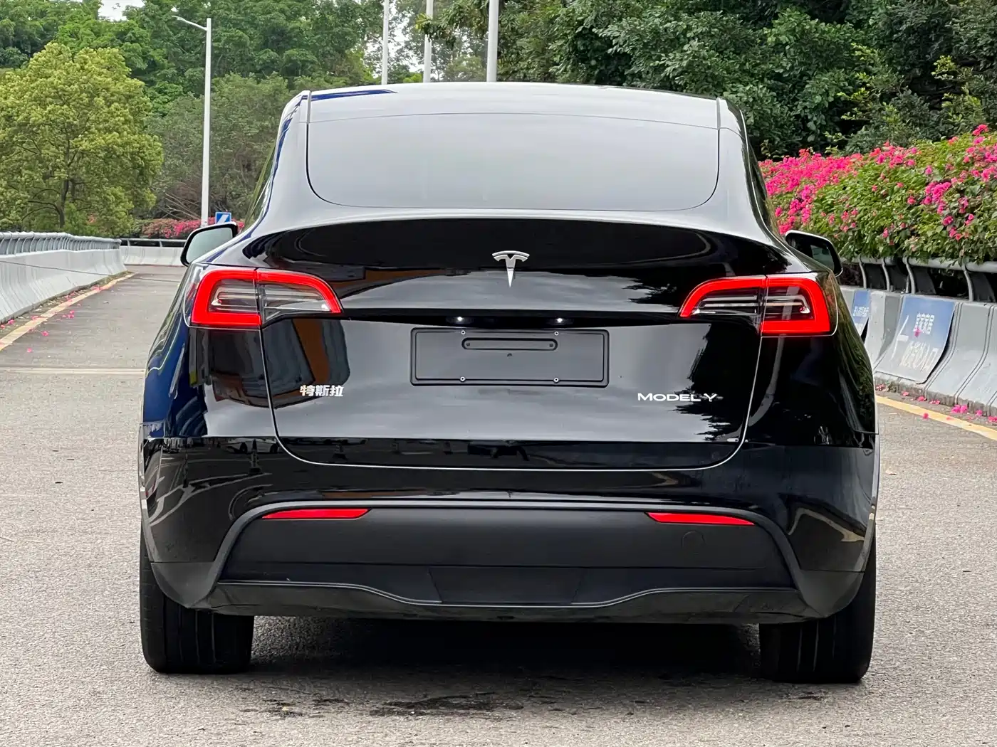 TESLA MODEL Y