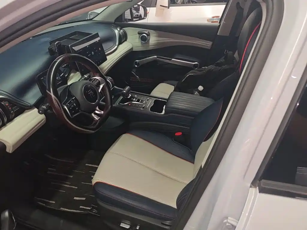 BYD Yuan PLUS 2022 2022 510KM Flagship