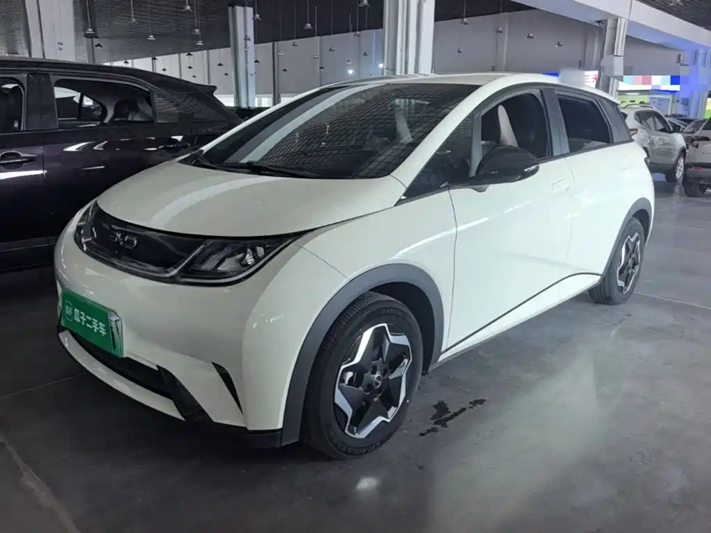 Photo 1 - BYD Dolphin